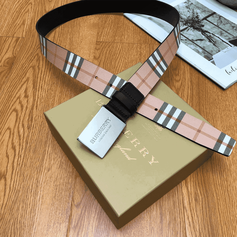 B**rry plaque buckle vintage check e-canvas belt - b23