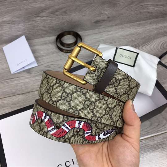 g*u*i snake print gg S*p*e belt - b42