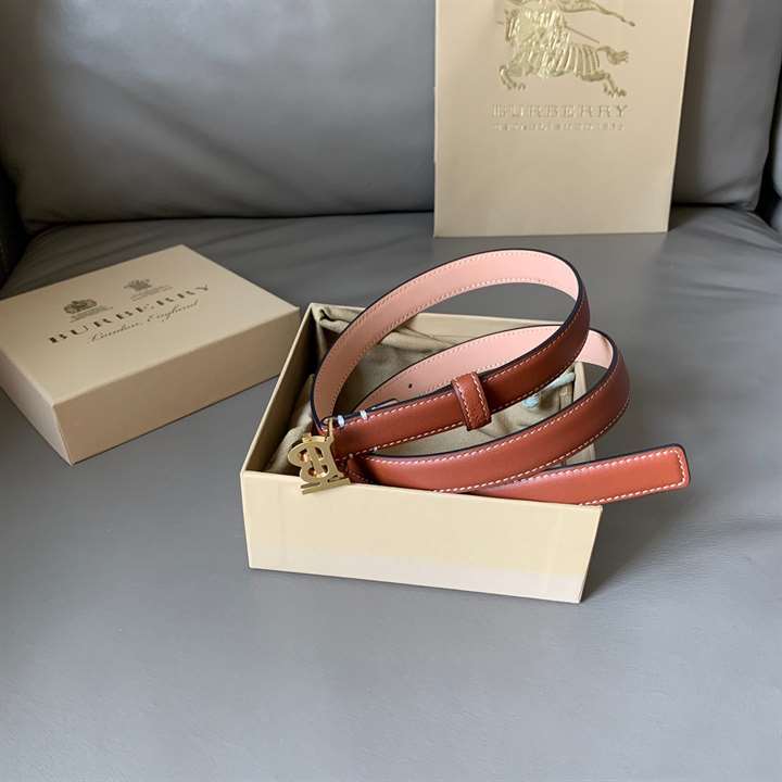 B**rry belt in brown - b34