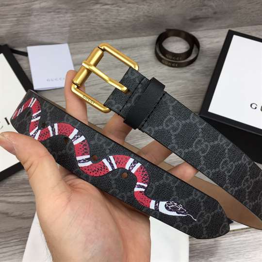 G*u*i leather belt with kingsnake - b41