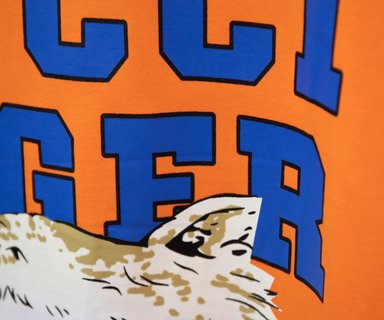 G*u*i tiger t-shirt - gc0058