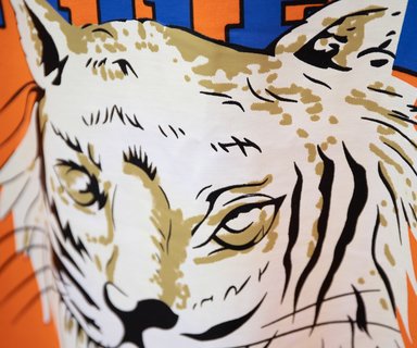 G*u*i tiger t-shirt - gc0058