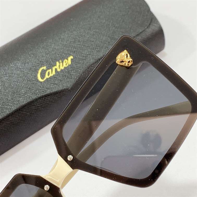 Ca*t*er sunglasses - gct15