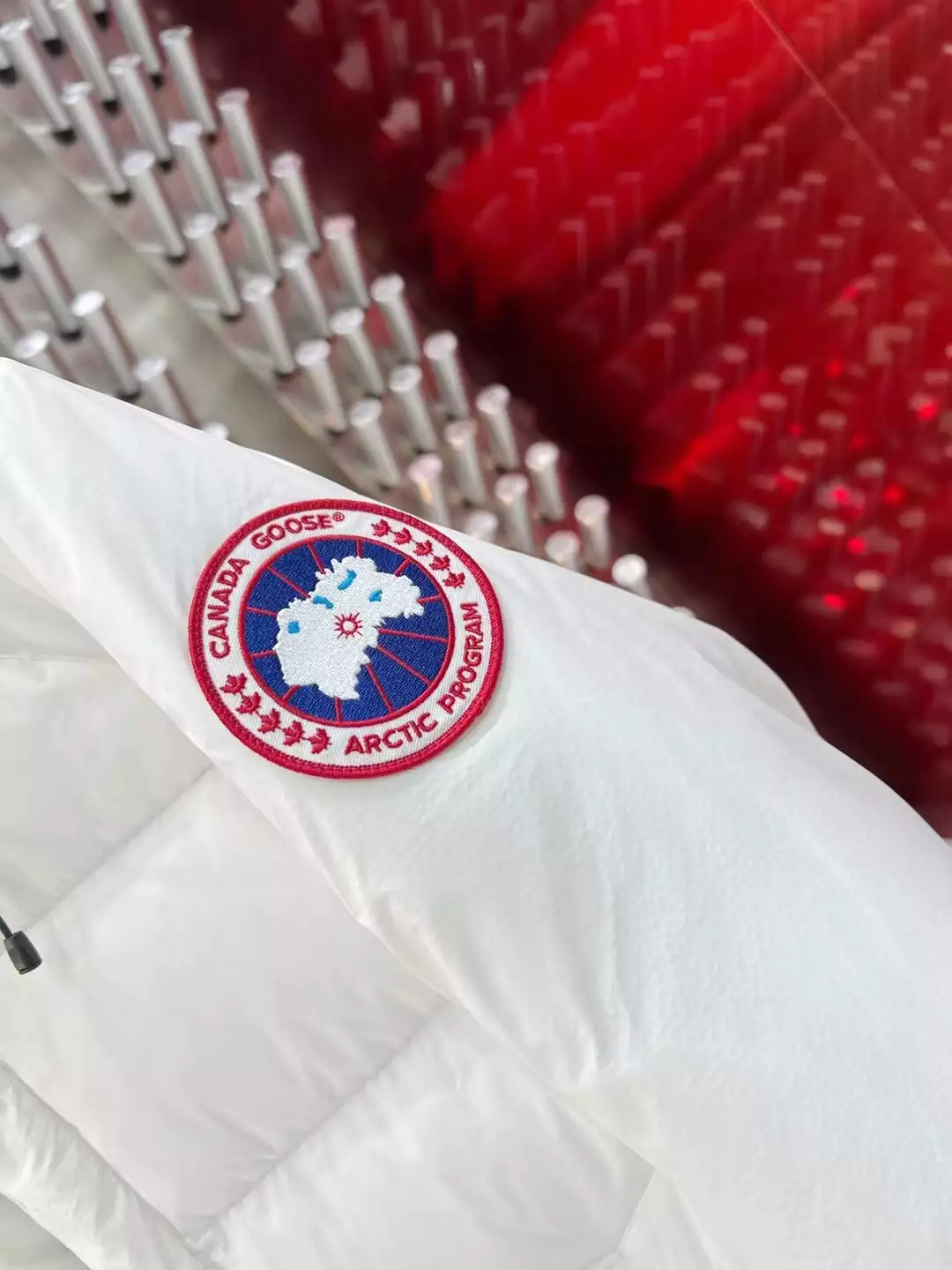 Can*a Go*e parka - repgod.org